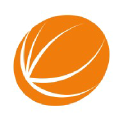 Cantaloupe