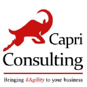 CAPRI CONSULTING LTD.