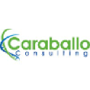 Caraballo Consulting & Associates, LLC