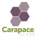 Carapace Slate