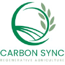 Carbon Sync
