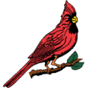 Inter-Faith Care Center