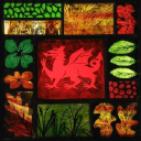 Cariad Glass