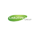 The Carotino Group