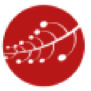 Cassia Digital Agency
