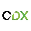 Caudex