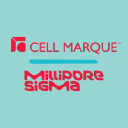 Cell Marque Corporation