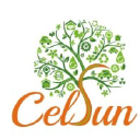 Celsun Ecoenergy & Infratech Holdings P. L.