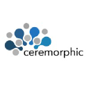 Ceremorphic, Inc a?? IIT Bhubaneswar