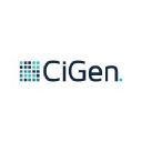 CiGen