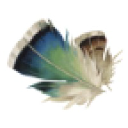 BannerBuzz