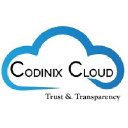 Codinix Consulting Services