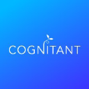 Cognitant Group Limited