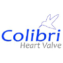 Colibri Heart Valve, LLC