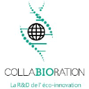 COLLABIORATION