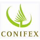 Conifex Timber Inc