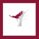 Cooper's Hawk Vineyards and The Vines Restaurant