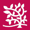 Copper Beech Institute