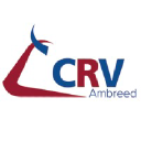 CRV New Zealand