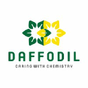 Daffodil Group