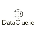 DataClue.io
