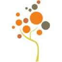 Design Tree Brand Solution Pvt Ltd
