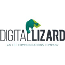 Digital Lizard