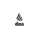 DNS Accountants