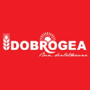 Dobrogea Grup