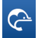 Dolphin School
