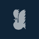 Dovehaven Care Homes