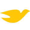 Dove Travels Pvt Ltd