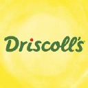 Driscoll Strawberry Associates Inc