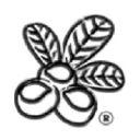 DR SHEA LTD