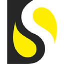 DS Digital Consulting, LLC