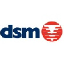 DSM Demolition Limited