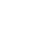 DubaiBulls