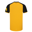 SG Dynamo Dresden Merchandising GmbH