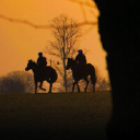 Eclipse Veterinary Software Ltd