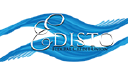 Synergi Partners