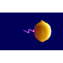 Electrozest Limited