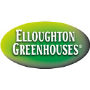 Elloughton Greenhouses