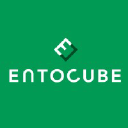 EntoCube logo