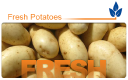Edmonton Potato Growers