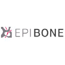EpiBone