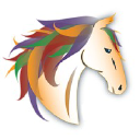 Equine Connection - Certified Equine Assisted Learning and Skills Development