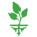 Ecellix