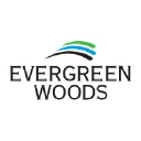 Evergreen Woods