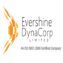 Evershine Dynamic Corporation Limited