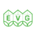 EVG